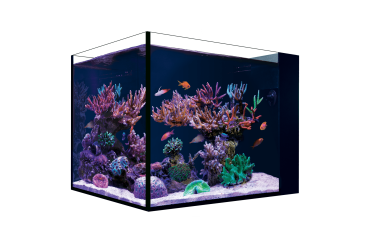Red Sea Desktop Peninsula Aquarium - mit Schrank schwarz