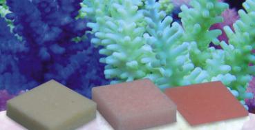 Korallenzucht Automatic Elements Eisen Konzentrat 10 Stück