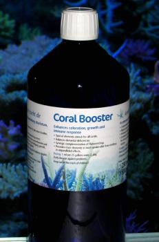 Korallenzucht Coral Booster 1000ml