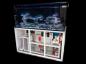Preview: AP ReefTank Exclusiv Raumteiler 860 – 180x80x60 cm Poolbecken mit Unterschrank,  Royal Dreambox mit Technik und ReefLight LED
