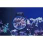 Preview: Maxspect Pastel Reef Magnifier L