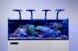 Preview: Maxspect Jump MJ-L260 Blue LED