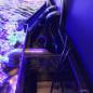Preview: D-D Reef-Pro 1800 ANTHRACITE GLOSS - Aquariumsystem