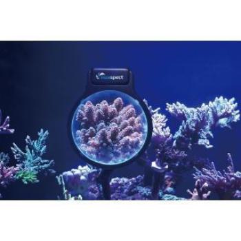 Maxspect Pastel Reef Magnifier M