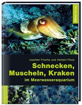 Schnecken, Muscheln, Kraken im Meerwasseraquarium