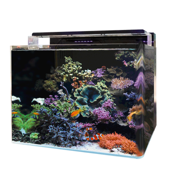 BlueMarine Reef 120 Aquarium