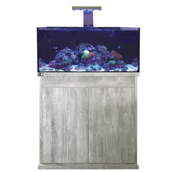 D-D Reef-Pro 900 DriftwoodConcrete - Aquariumsystem