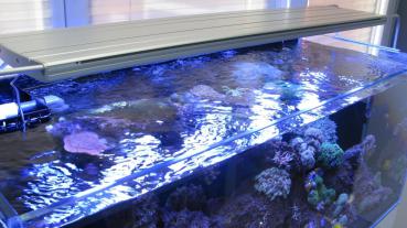 Preview: Daytime pendix LED 110.0 schwarz - unbestückt