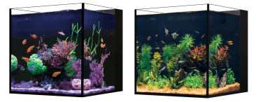 Red Sea Desktop Cube Aquarium - mit Schrank schwarz