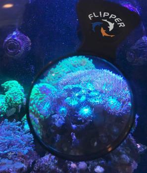 Flipper DeepSee Nano Lupe