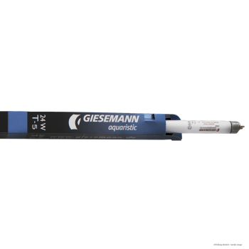 GIESEMANN Powerchrome T-5 actinic-blue