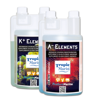 Tropic Marin A- Elements