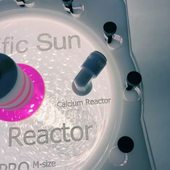 Pacific Sun Algenreaktor Pro S