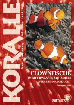 Art für Art Clownfische im Meerwasseraquarium