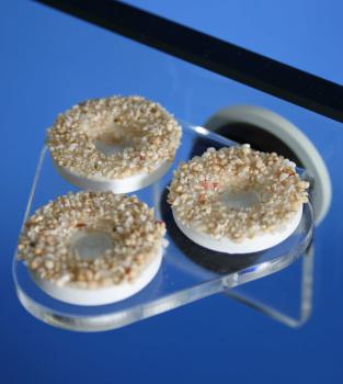 Knepo Coral Rack nano XS bis 10mm Glasdicke