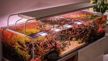 Preview: Daytime pendix LED 120.0 schwarz - unbestückt