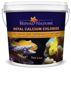 Royal Nature Royal Calcium Chloride Powder 1kg