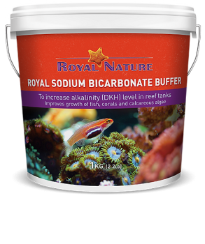 Royal Nature Sodium Bicarbonate Buffer 1kg