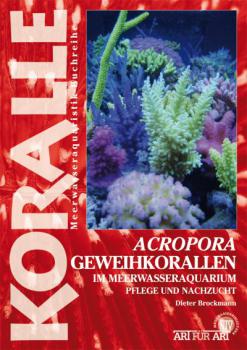 Art für Art Acropora Geweihkorallen im Meerwasseraqauarium