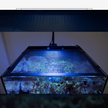 Waterbox Aquarienabdeckung DIY 600x600mm