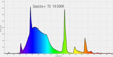Pacific Sun SpectraPlus 19500K (CristalBlue+ShallowWater Mix) 39w