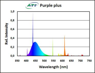 ATI Purple plus 39W