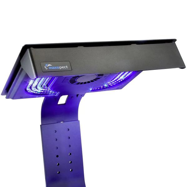 Maxspect Ethereal Infinite E8-230W