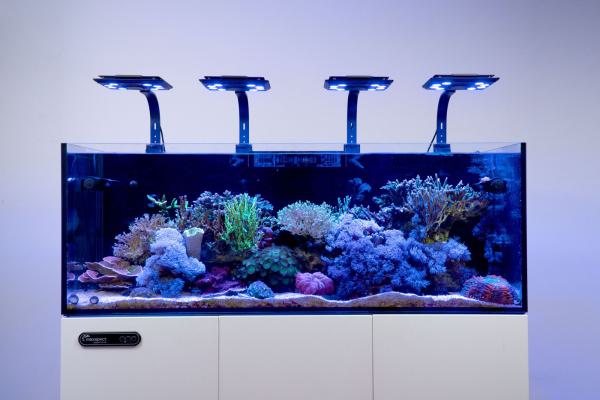 Maxspect Jump MJ-L260 Blue LED