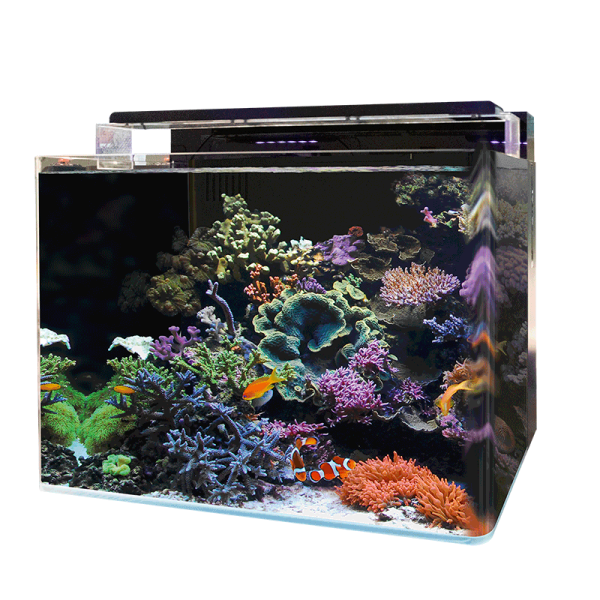 BlueMarine Reef 120 Aquarium