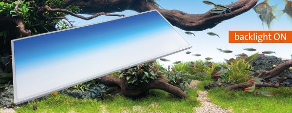 Daytime backlight Pool B100 x H40 cm