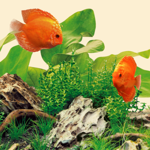 Juwel LED Nature 1200mm