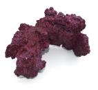 Real Reef Rock - Arches 1 Stk.