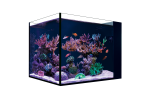 Red Sea Desktop Peninsula Aquarium - mit Schrank schwarz