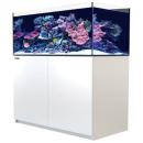 Red Sea REEFER™ 425 System G2+ weiß